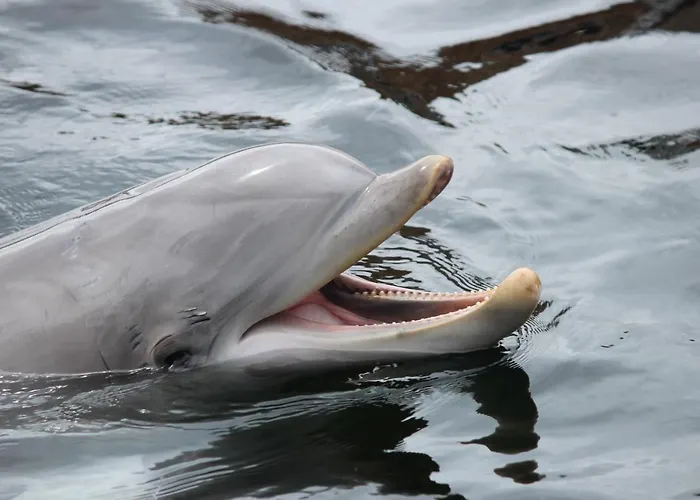 Schitterende Water Loft Hartje Centrum Apartamento